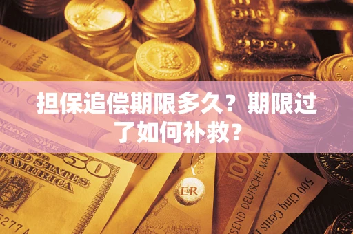 济南担保追偿期限多久？期限过了如何补救？